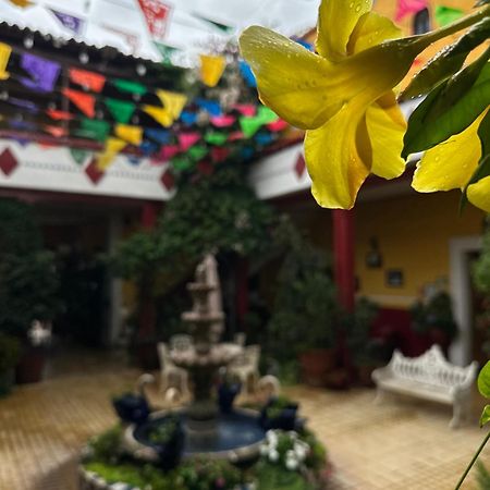 Copa De Oro Hotel Boutique Mascota Εξωτερικό φωτογραφία