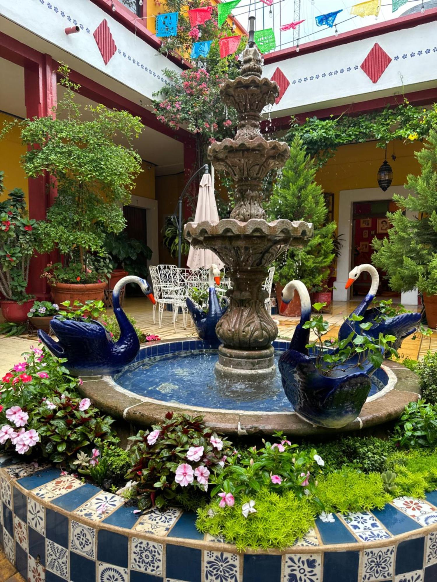 Copa De Oro Hotel Boutique Mascota Εξωτερικό φωτογραφία