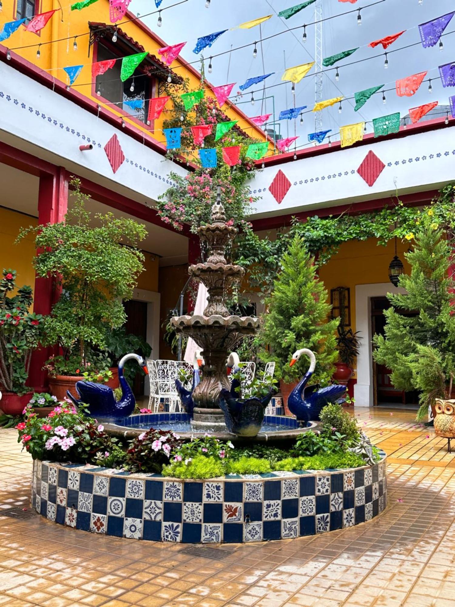 Copa De Oro Hotel Boutique Mascota Εξωτερικό φωτογραφία