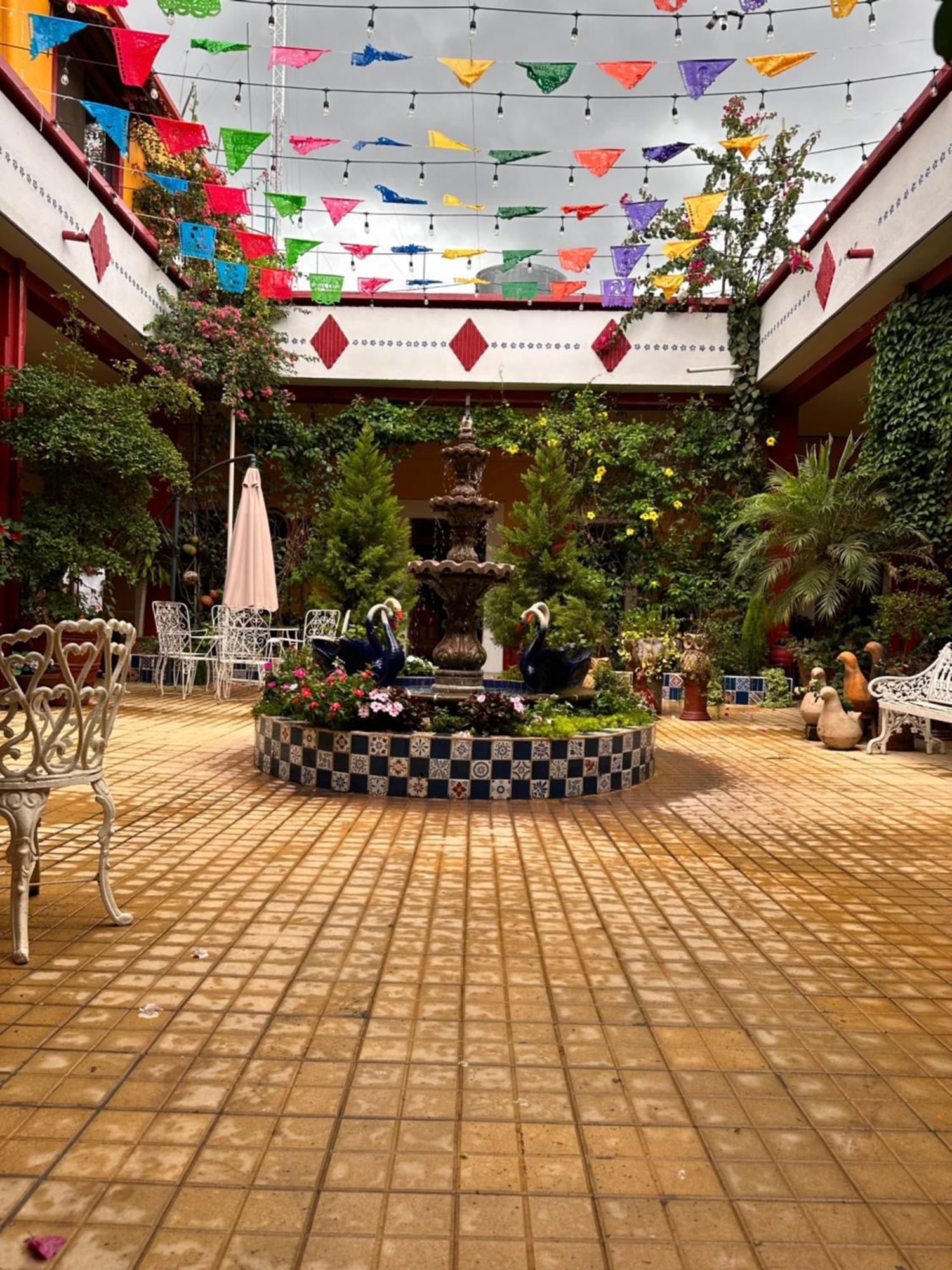 Copa De Oro Hotel Boutique Mascota Εξωτερικό φωτογραφία