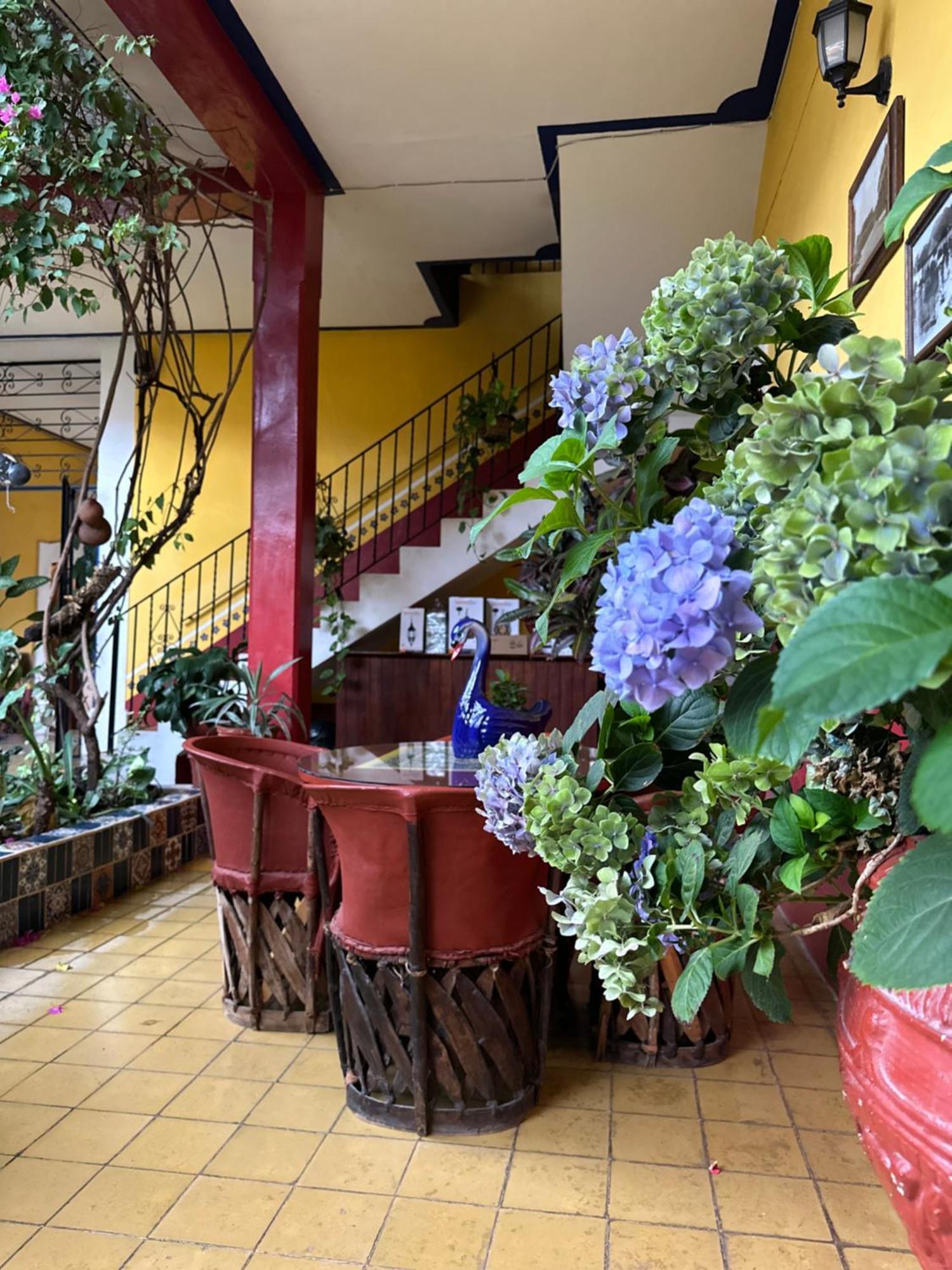 Copa De Oro Hotel Boutique Mascota Εξωτερικό φωτογραφία