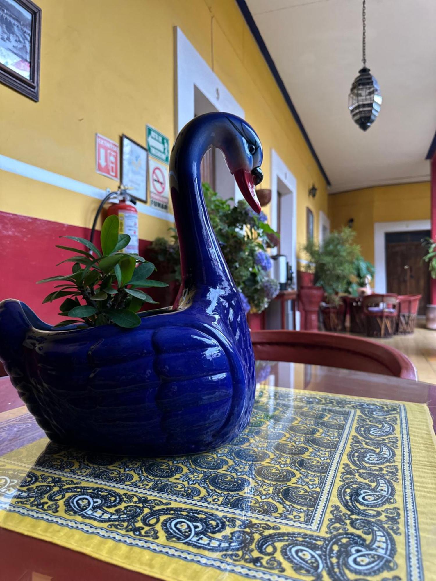 Copa De Oro Hotel Boutique Mascota Εξωτερικό φωτογραφία