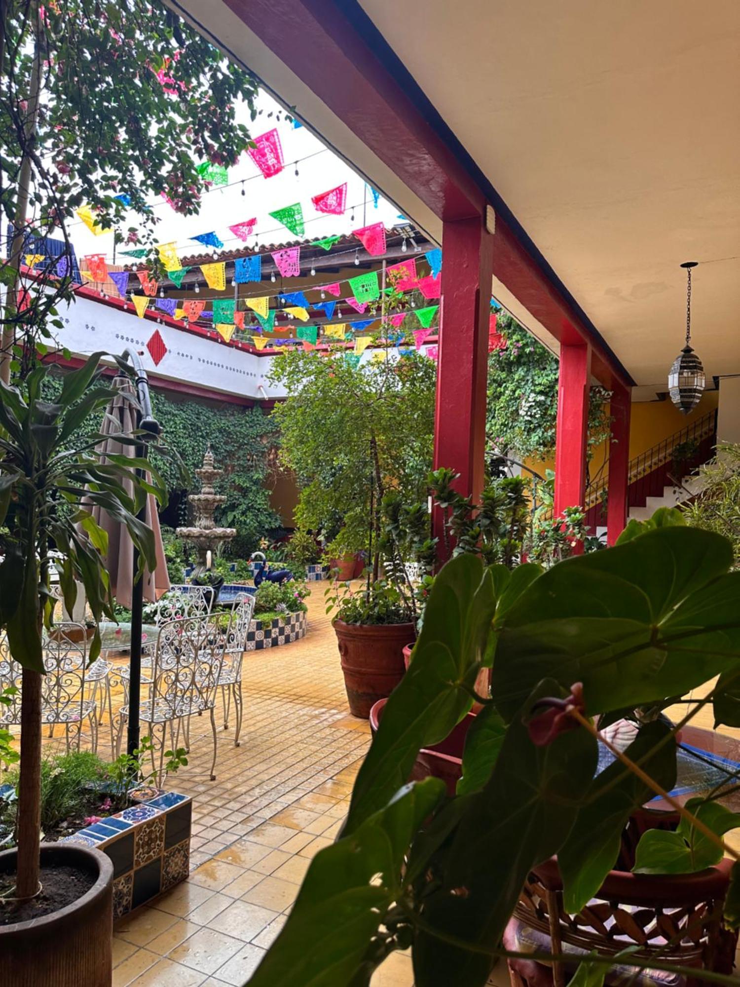 Copa De Oro Hotel Boutique Mascota Εξωτερικό φωτογραφία