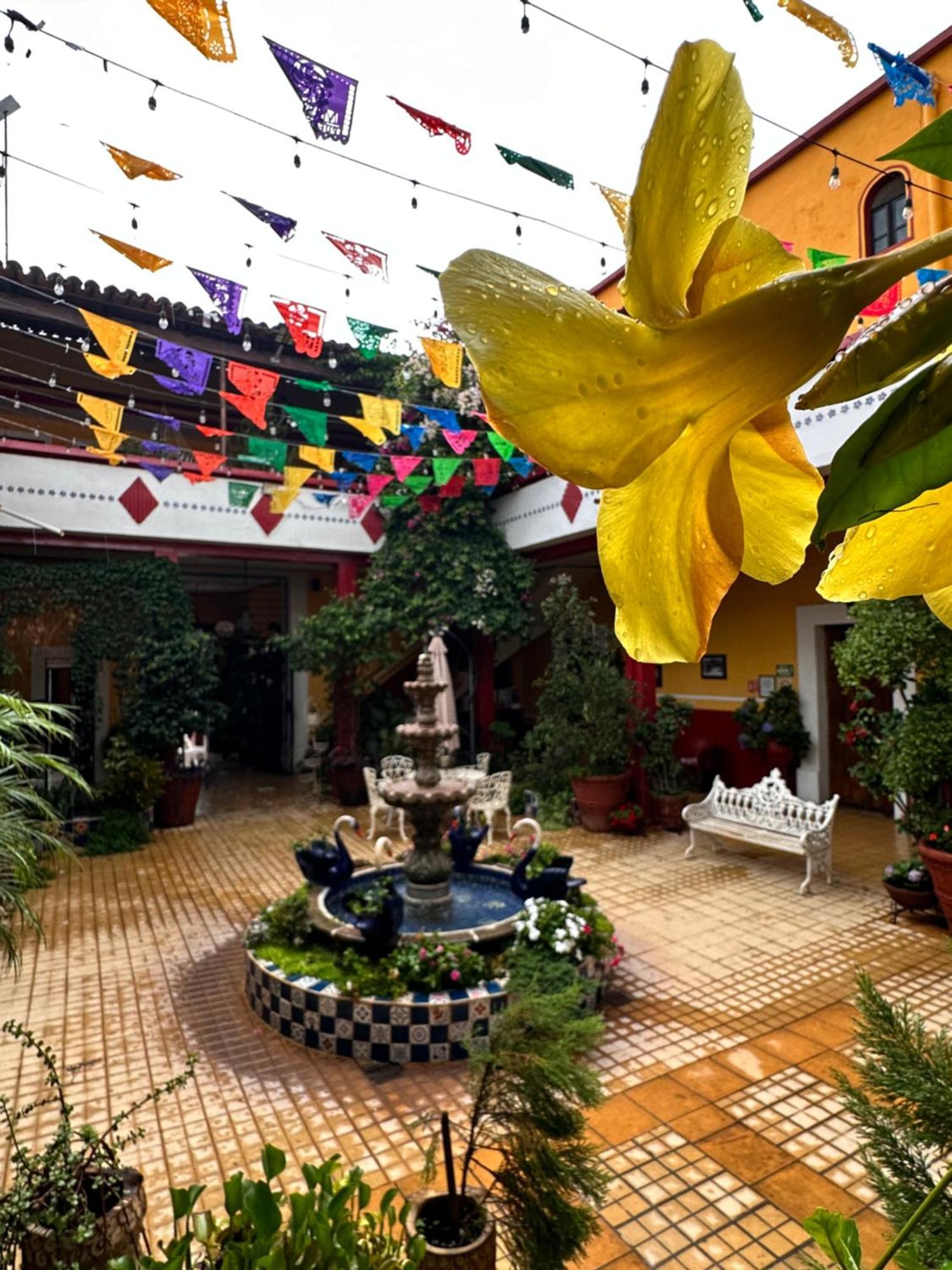 Copa De Oro Hotel Boutique Mascota Εξωτερικό φωτογραφία