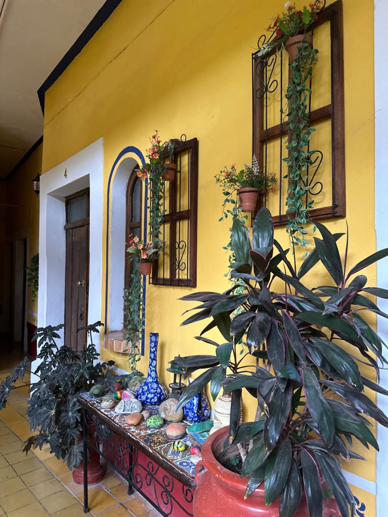 Copa De Oro Hotel Boutique Mascota Εξωτερικό φωτογραφία