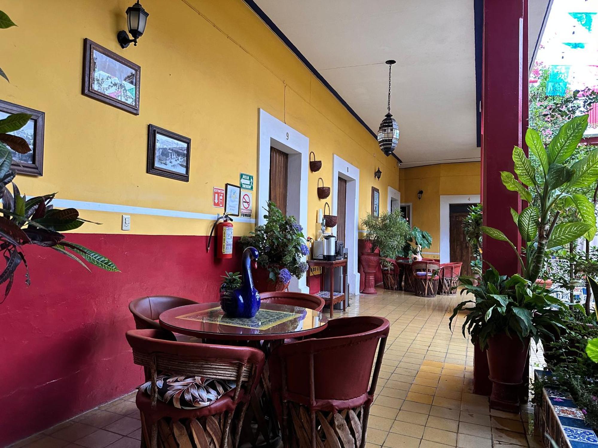 Copa De Oro Hotel Boutique Mascota Εξωτερικό φωτογραφία