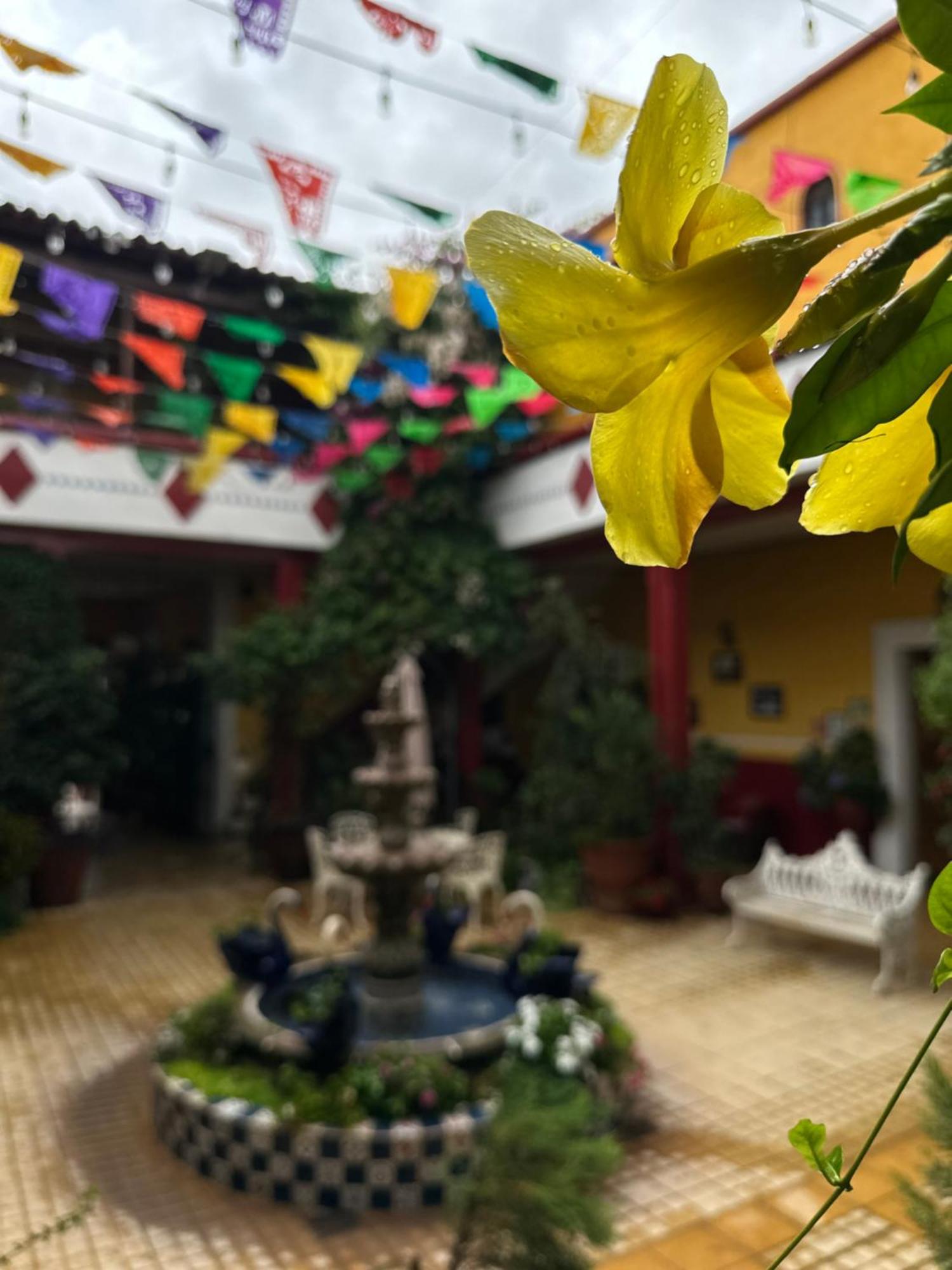 Copa De Oro Hotel Boutique Mascota Εξωτερικό φωτογραφία