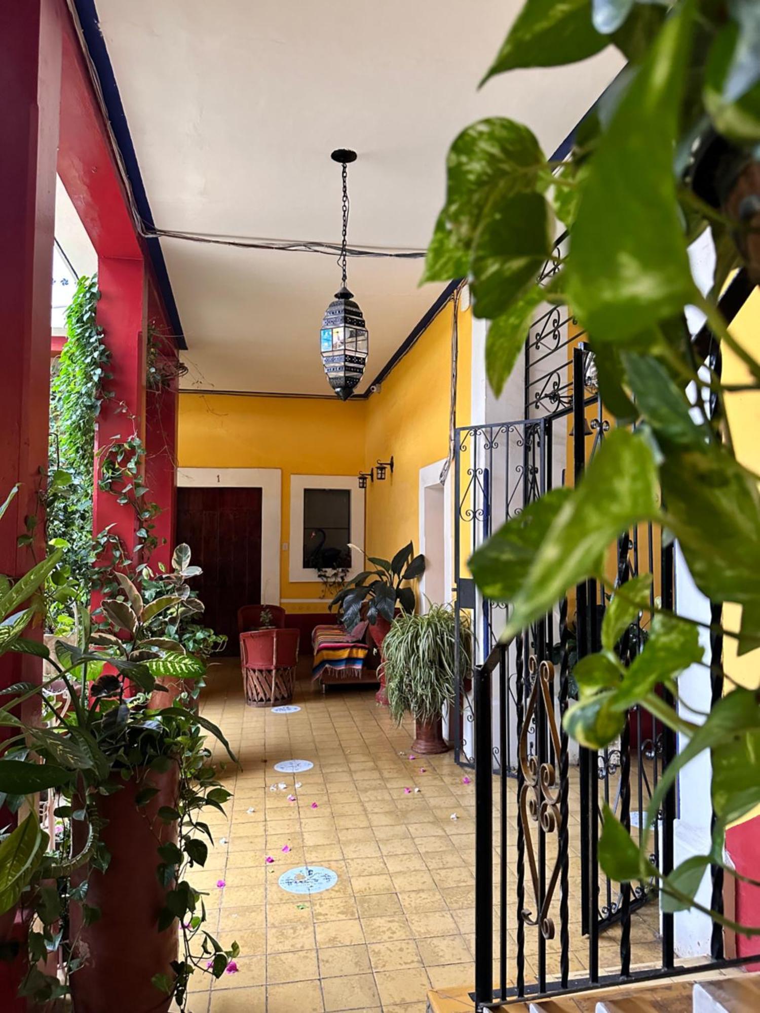Copa De Oro Hotel Boutique Mascota Εξωτερικό φωτογραφία