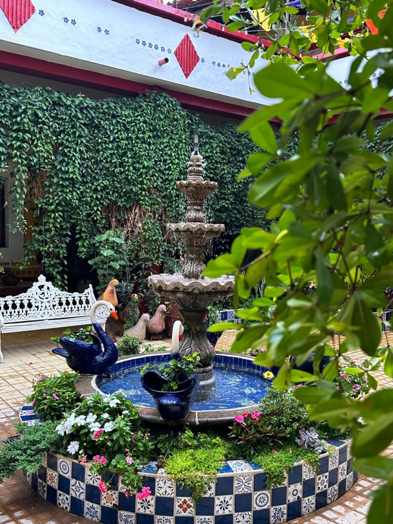 Copa De Oro Hotel Boutique Mascota Εξωτερικό φωτογραφία