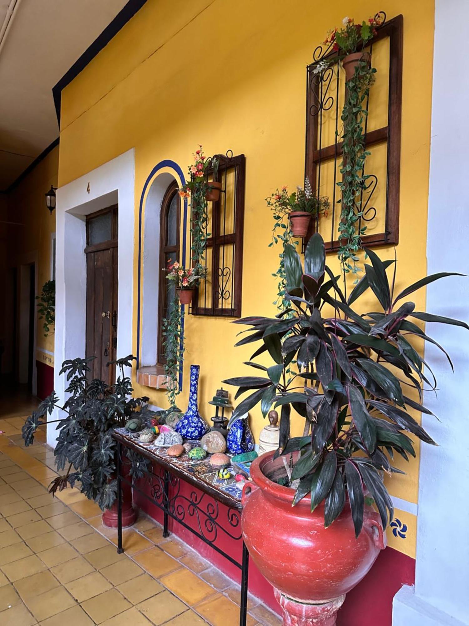 Copa De Oro Hotel Boutique Mascota Εξωτερικό φωτογραφία