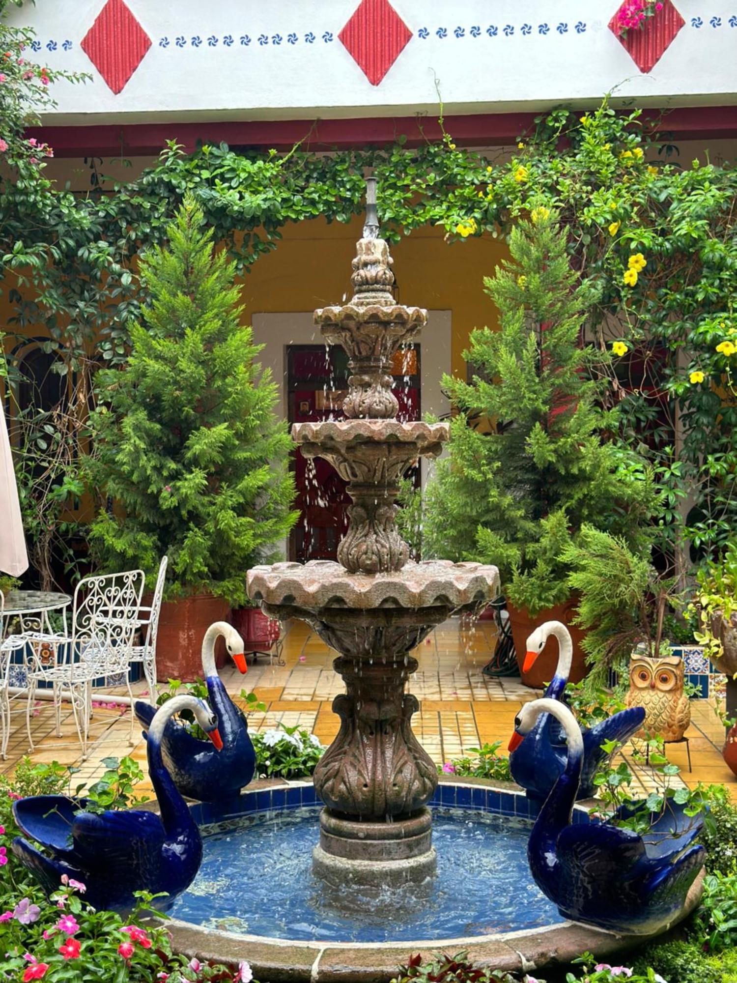 Copa De Oro Hotel Boutique Mascota Εξωτερικό φωτογραφία